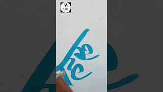 Devanagari calligraphy on signboard devanagari calligraphy art [upl. by Selena]