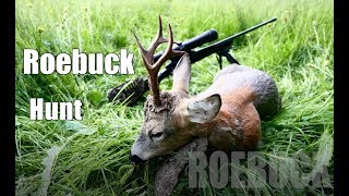 7mm Rem Mag vs buck Roebuck hunting 2017 Bockjagd 2017 [upl. by Nahtanod295]