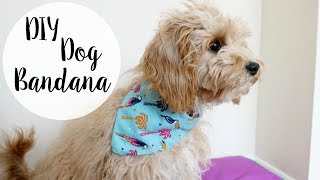 DIY Dog Bandana  No Sew [upl. by Lukin]