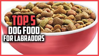 ✅ Top 5 Best Dog Food For Labradors of 2024 [upl. by Fran692]