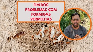 Fim dos Problemas com Formigas Vermelhas [upl. by Moulden]