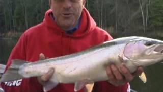 Michigan Fall Steelhead Fishing  Muskegon River [upl. by Anir]