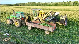 Picking amp Packing Sweet Corn  Columbiana Ohio [upl. by Farlee]