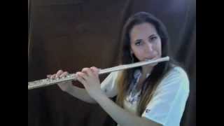 Zorros Theme  Flute [upl. by Eerdna]