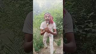 Gegagedigedagedago funny video🥰🥰🥰 [upl. by Suiradal]