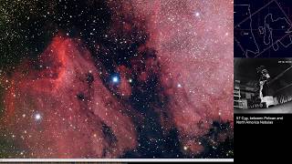 Exploring Cygnus constellation One more try RASA11 with Altair 294 20191005 [upl. by Lovich]