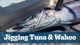 Big Blackfin Tuna amp Monster Wahoo  Florida Sport Fishing TV  Hot Slow Pitch Jigging Bite [upl. by Bertero]