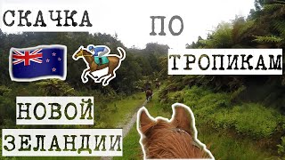 СКАЧКА по тропическому лесу НОВОЙ ЗЕЛАНДИИ однимкадром [upl. by Glenine]