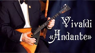 Antonio Vivaldi  Andante from Concerto for two mandolins RV 532 [upl. by Nodnas]