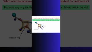 Beta LACTAM ANTIBIOTICS BACTERIA bacteria antibioticresistance physiology microbiology cell [upl. by Ronyam]