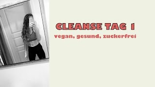 CLEANSE TAG 1  the struggle is real  vegan gesund und zuckerfrei [upl. by Bevon]