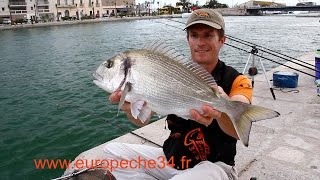 Pêche des grosses dorades de Sète par Europêche34 [upl. by Cyprian]