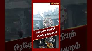 பிரதோஷ நந்தியும் அதன் தத்துவமும்  பிரதோஷ வழிபாடு  பிரதோஷ நாயகன் நந்தி  Jothi Tv [upl. by Houghton680]