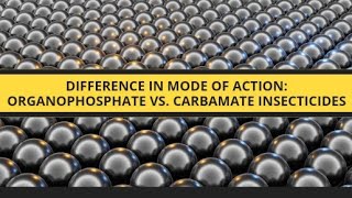 Difference in Mode of Action Organophosphate vs Carbamate Insecticideskasamacademy [upl. by Aeslehc]