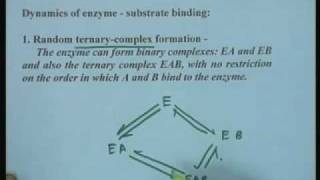 Lecture  12 Kinetics of Bi substrate Enzyme [upl. by Jacobsohn]