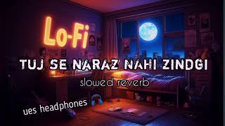 Tuj se naraz NAHI zindgi new slowed reverb and lofi song [upl. by Anitsyrhk]