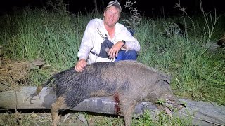 Good boar in different country [upl. by Frannie]