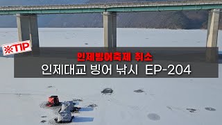 인제대교 빙어낚시 출조정보 EP204 [upl. by Bernadette]