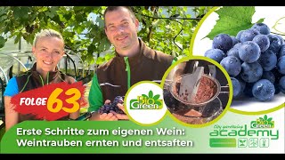 Folge 63  🍇🍷Erste Schritte zum eigenen Wein Weintrauben ernten amp entsaften [upl. by Penrose71]