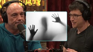 What Do People Who Claim To See Ghosts amp Psychedelics Have In Common  Joe Rogan [upl. by Abe]