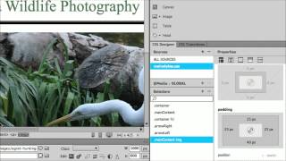 How to Add Padding to an Image in Dreamweaver [upl. by Lenahtan]