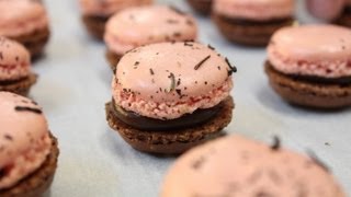 100 Macarons  750g de Gourmandises [upl. by Kristoforo]