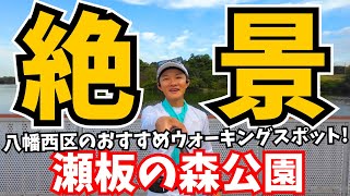 【おすすめウォークスポット‼️】「瀬板の森公園」で最高の絶景ポイントを見つけました【北九州市八幡西区 紅葉】 [upl. by Schrader948]