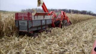 AllisChalmers 190 corn picker picking corn fall 09 2 [upl. by Adnarahs]