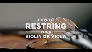 DAddario Core How to Restring Your Violin or Viola [upl. by Yengac]