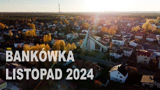 Zielonka Bankowa listopad 2024 [upl. by Hayarahs667]