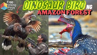 IBON MUKANG DINOSAUR  Top 11 Strange Birds of Amazon Jungle [upl. by Amadus488]