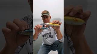 Whopper Plopper Time [upl. by Fidellas]