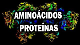 El ABC de las proteínas y los aminoácidos [upl. by Codd811]