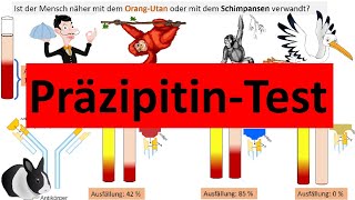 Präzipitintest zur Bestimmung stammesgeschichtlicher Verwandtschaft Biologie Evolution Oberstufe [upl. by Keisling]