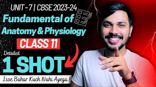 Fundamental of Anatomy amp Physiology Detailed Oneshot Unit 7 Physical Edu Class 11 CBSE 202324 🔥 [upl. by Nywra]