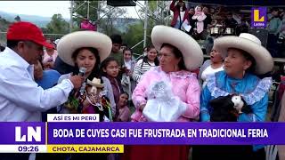 BODA DE CUYES CASI FUE FRUSTRADA EN TRADICIONAL FERIA REALIZADA EN CHOTA – CAJAMARCA [upl. by Ynattir820]