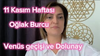 11 Kasım Haftası Oğlak Burcu ve Yükselen Oğlak Burçlarını Neler Bekliyor [upl. by Letsirk]