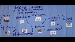 Funciones y analogía de los organelos celulares en una universidad [upl. by Yecac757]