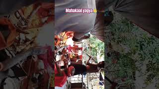 Mahakaal yagya  yagya mahakal shorts trending new 2024 rudra mahadev bholenath shiva 1M [upl. by Fang]