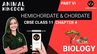 HEMICHORDATE amp CHORDATE  Animal Kingdom  Biology Class 11  Part 6  Pankh Academy [upl. by Carlyn]