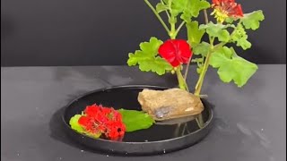 V107Red Geraniums Ikebana Style Flower Design Tutorial [upl. by Cyrus]