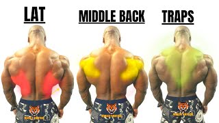 15 BEST BACK EXERCISES TO GET BIGGER BACK FAST  MUSCULATION DOS RÉSULTAT RAPIDE [upl. by Aineval]