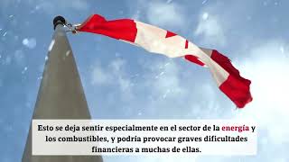 Preocupación generalizada por las insolvencias en Canadá [upl. by Epoillac500]