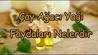 Çay Ağacı Yağı Faydaları Nelerdir [upl. by Chesna]