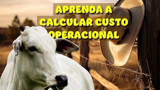 Como calcular custo operacional dentro da sua FAZENDA pecuária [upl. by Calendre]