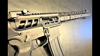 F1 Firearms Custom AR15 Build  Worth The Money [upl. by Kubis]