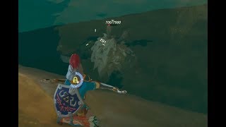 Breath of the Wild Gold Lynel Underwater [upl. by Aym]