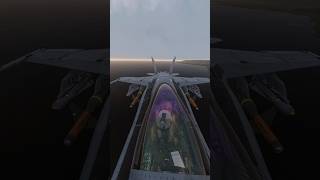 Warning F18 Dropping Bombs dcsworld aviation aircombat dcs f18hornet military [upl. by Grazia]