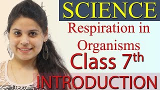 Introduction  Chapter 6  Respiration in Organisms  Science Class 7th NCERT [upl. by Jariah362]