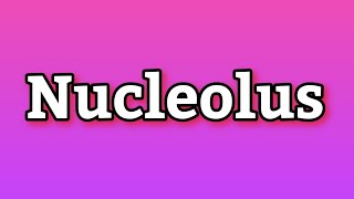 Nucleolus  What is Nucleolus  Inside the Nucleus  Dark Staind Body Nucleolus  Cell Biology [upl. by Benedicta]